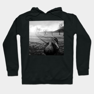 black and white duck, and country landscape Hoodie